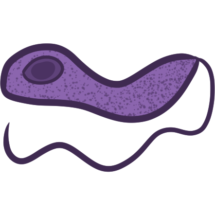 Microscopic parasite